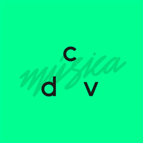 Picture of caminodevida música